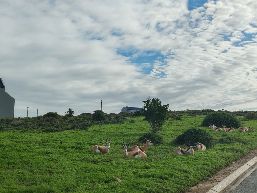 3 Bedroom Property for Sale in Hoogland Western Cape